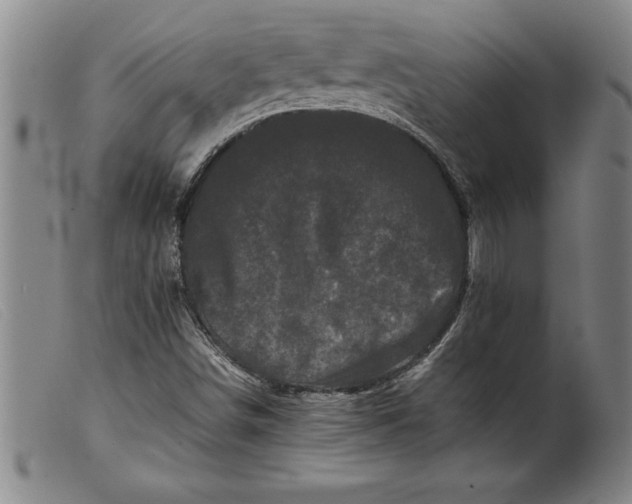 X0000099471498200805231817
