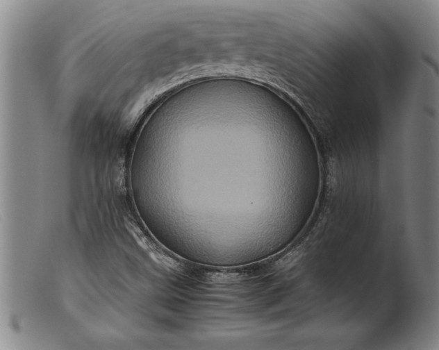 X0000099471499200805231818