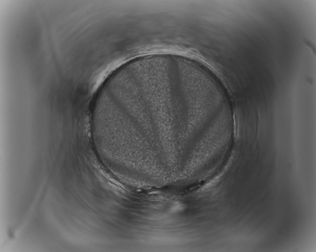X0000099471501200805231818