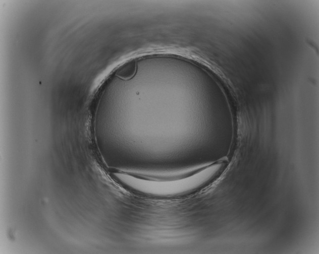 X0000099471502200805231818