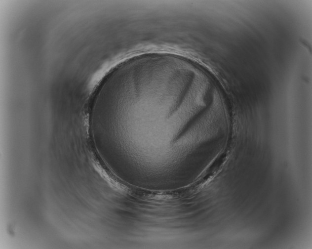 X0000099471503200805231818