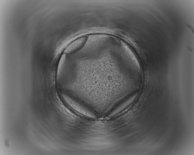 X0000099471504200805231818