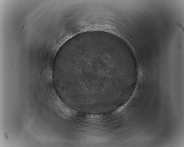 X0000099471505200805231818