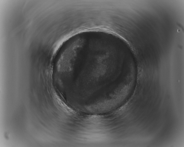 X0000099471506200805231818