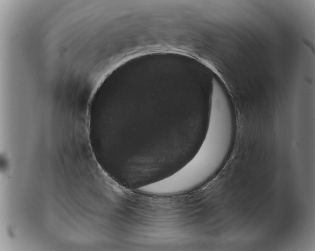 X0000099471508200805231818