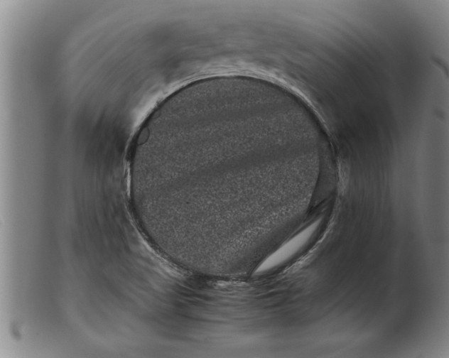 X0000099471509200805231818