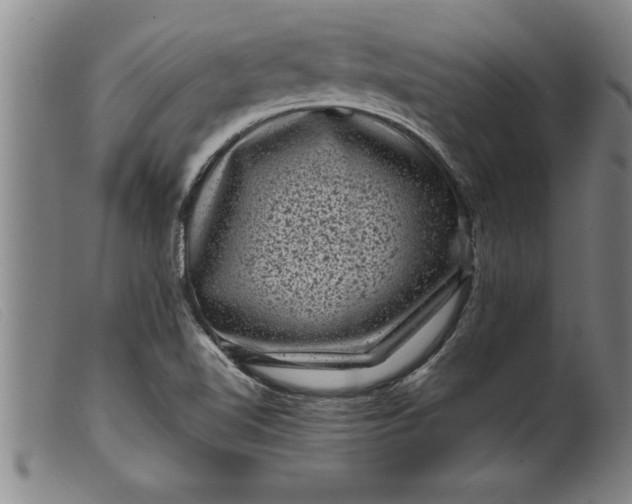 X0000099471510200805231818