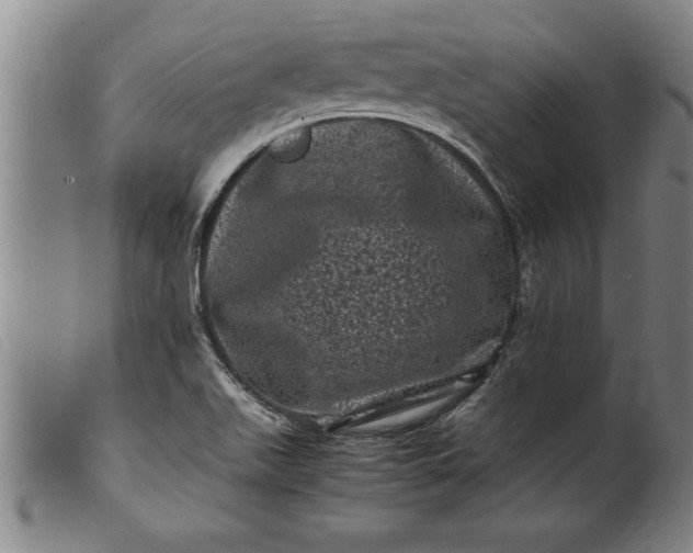 X0000099471511200805231818