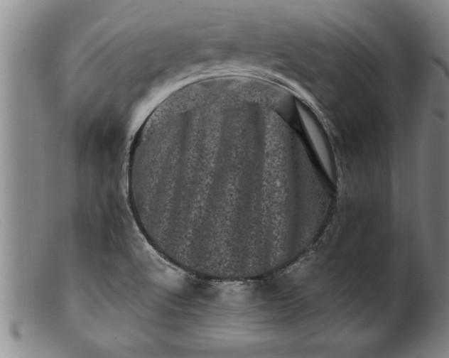 X0000099471512200805231818