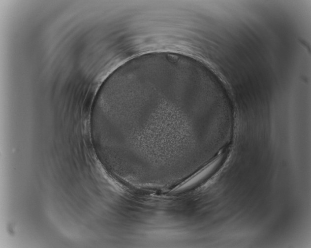 X0000099471513200805231818