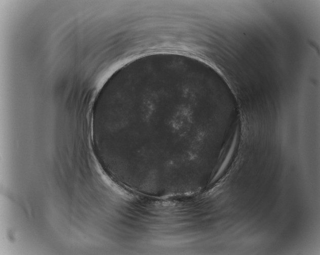 X0000099471515200805231818