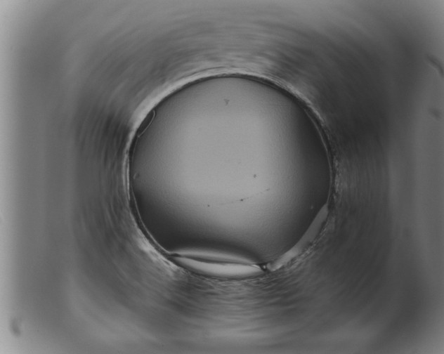 X0000099471516200805231818