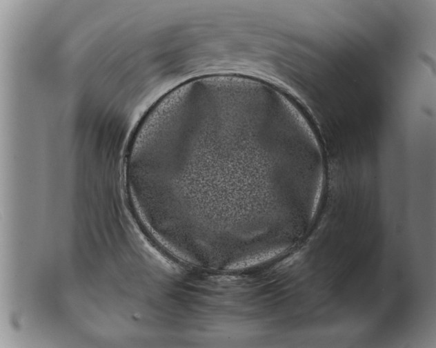X0000099471517200805231818