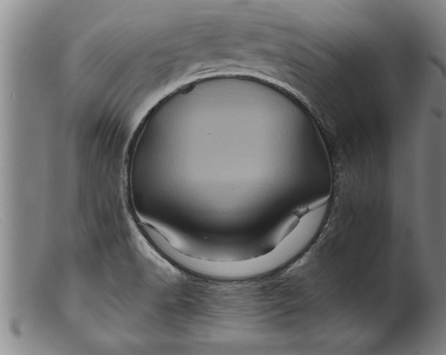 X0000099471518200805231818