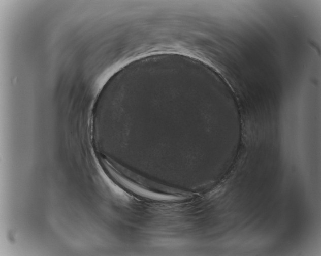 X0000099471519200805231818