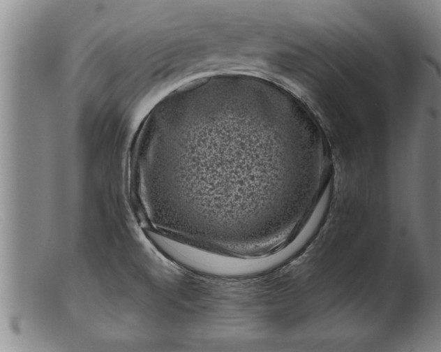 X0000099471520200805231818