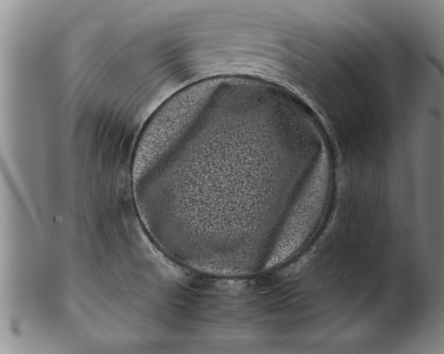 X0000099471521200805231818