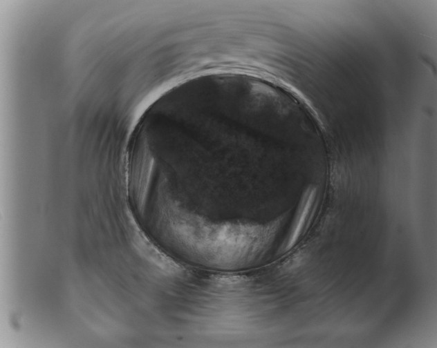 X0000099471522200805231818