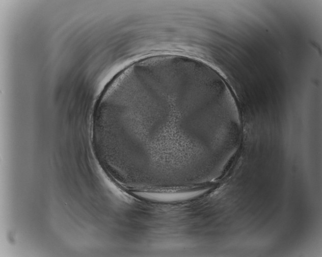 X0000099471523200805231818
