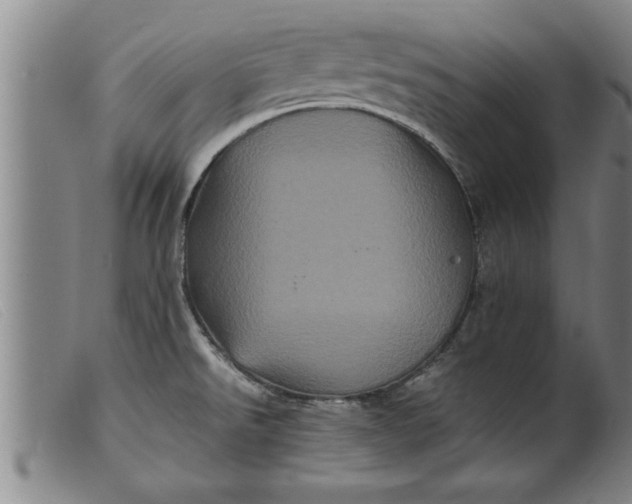 X0000099471526200805231818