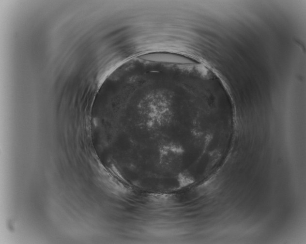 X0000099471529200805231818