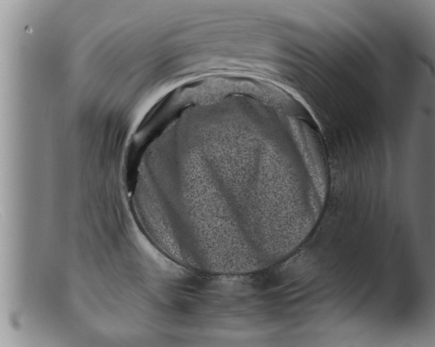 X0000099471531200805231818