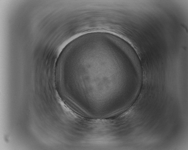 X0000099471534200805231818