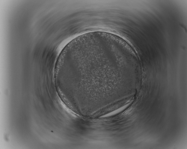X0000099471535200805231818