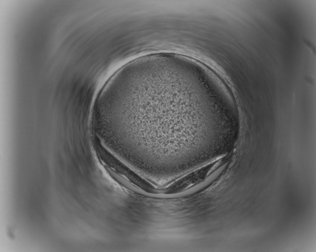 X0000099471536200805231818