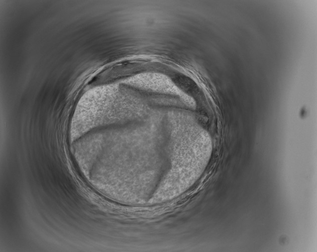 X0000099470001200805301606