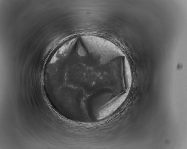 X0000099470002200805301606