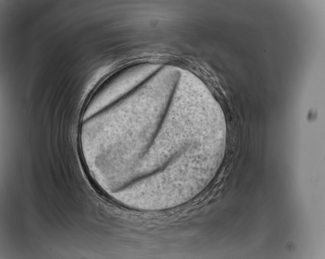 X0000099470003200805301606