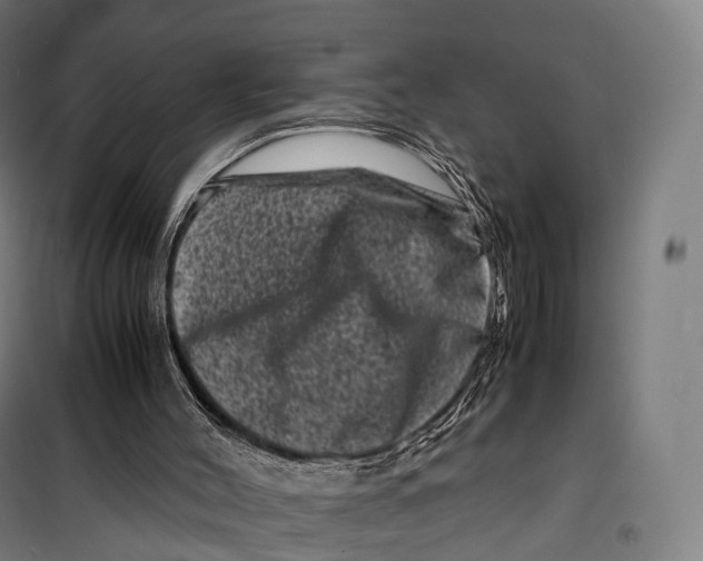 X0000099470004200805301606