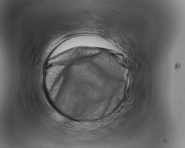 X0000099470005200805301606