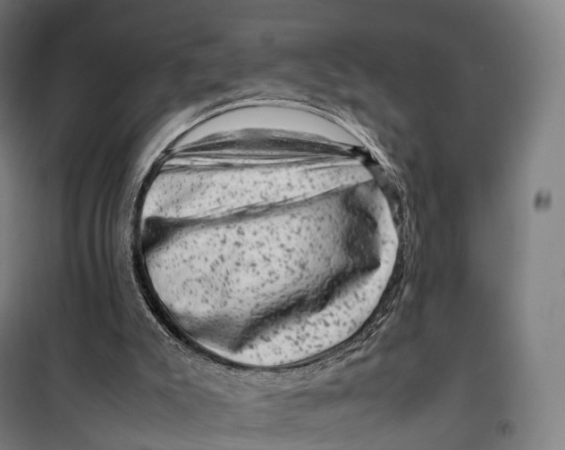 X0000099470007200805301606