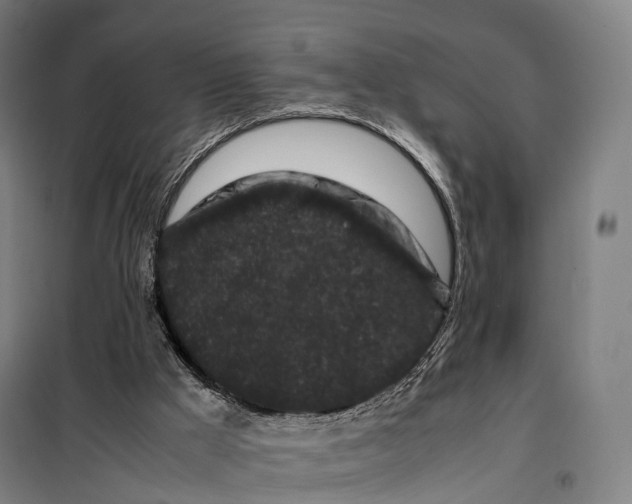 X0000099470009200805301606