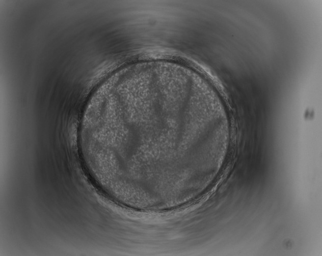 X0000099470010200805301606