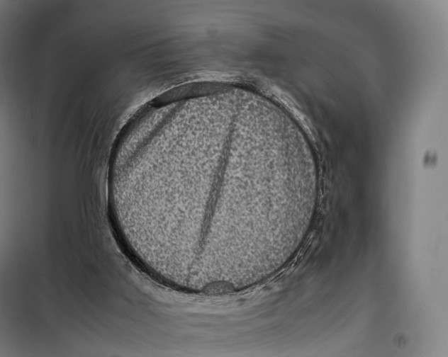 X0000099470011200805301606