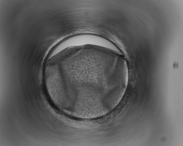 X0000099470012200805301606