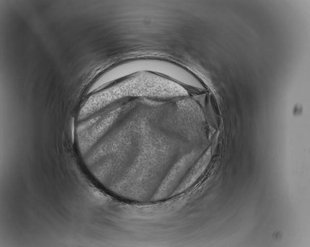 X0000099470013200805301606