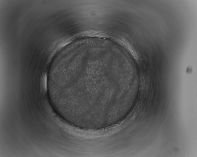 X0000099470014200805301606