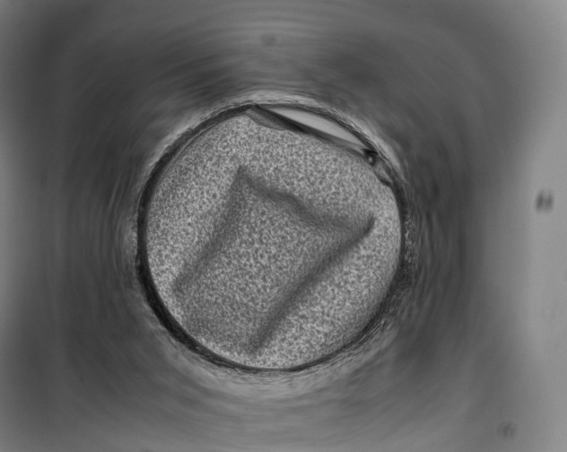 X0000099470015200805301606