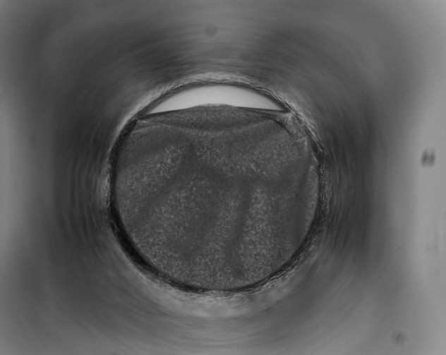 X0000099470016200805301606