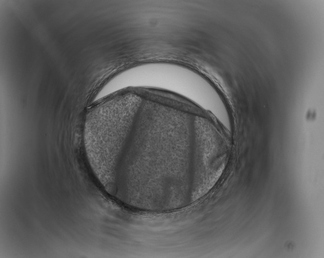 X0000099470017200805301606