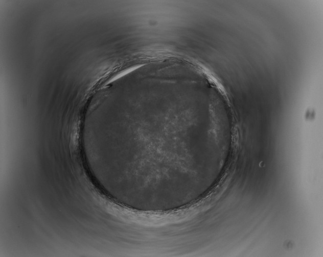 X0000099470018200805301606