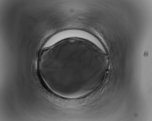 X0000099470019200805301606