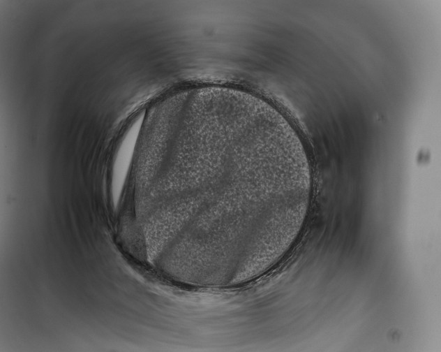 X0000099470020200805301606