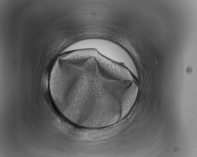 X0000099470021200805301606