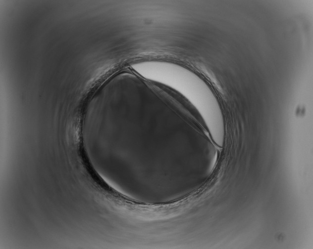 X0000099470023200805301606