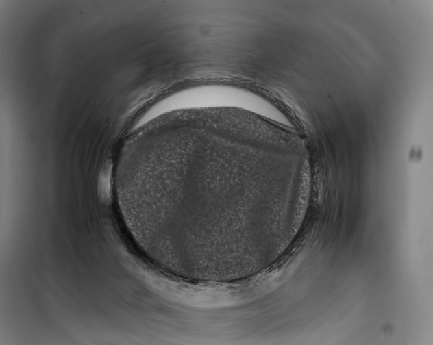 X0000099470024200805301606